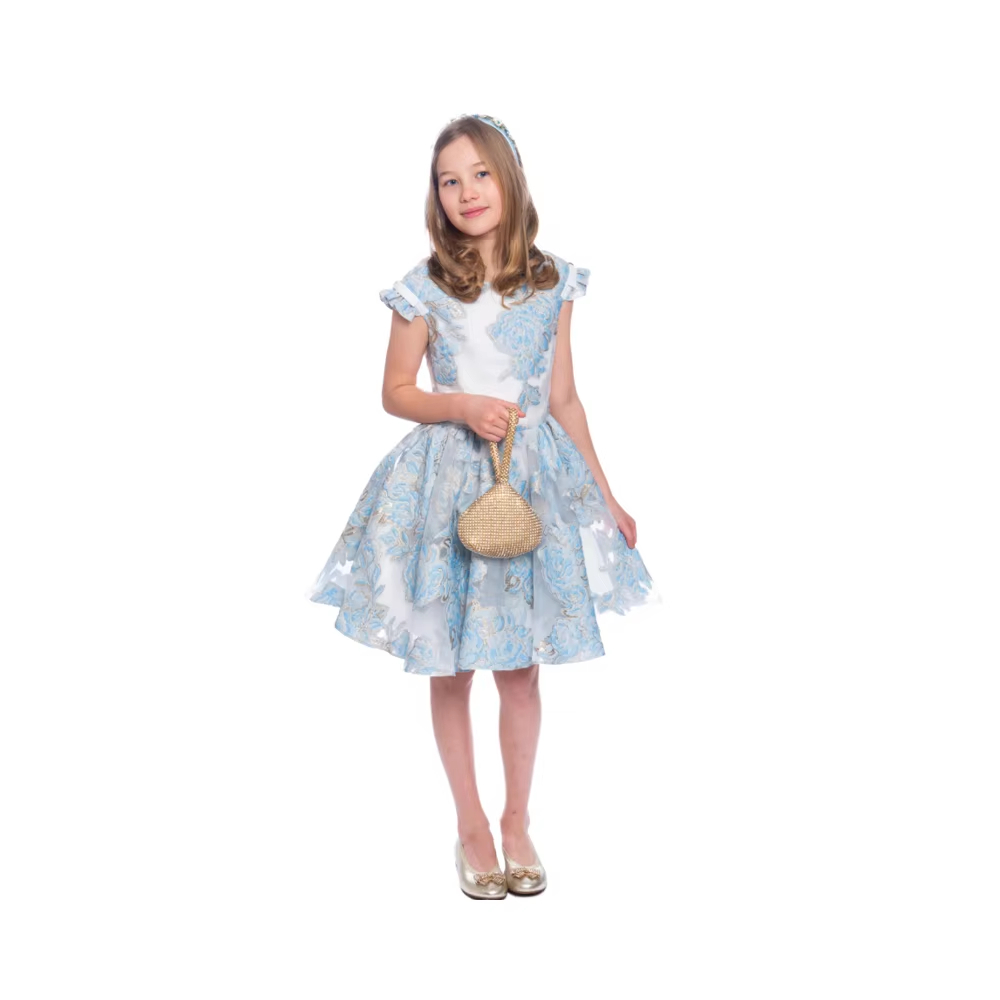 Baby Girl Summer Dress
